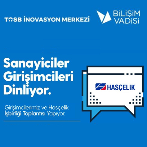 hascelik-webinar